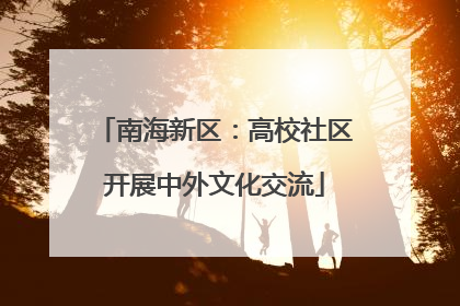 南海新区：高校社区开展中外文化交流